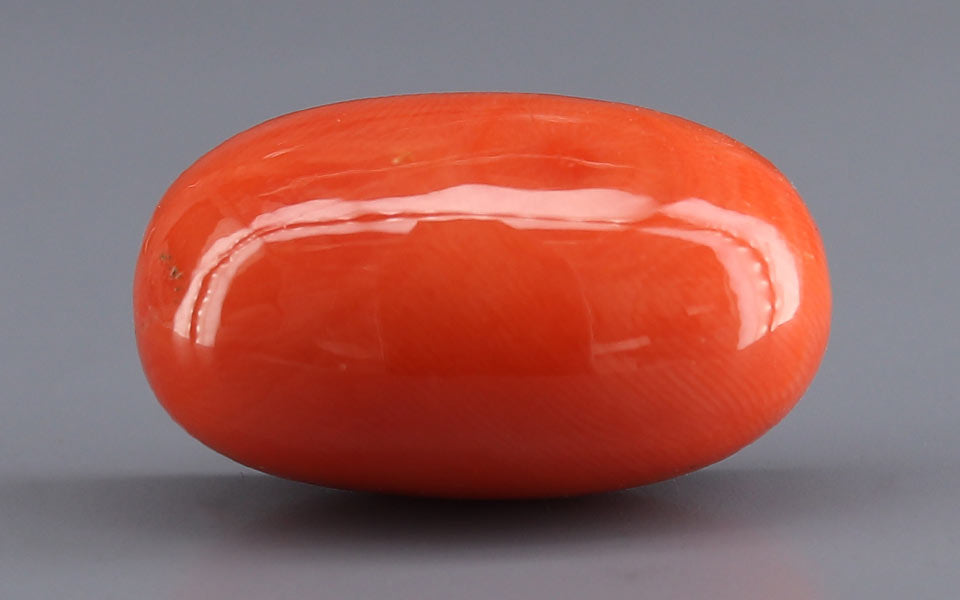 Red Coral - 26.38 Carat (29.15 Ratti - Moonga)