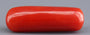 Red Coral - 6.38 Carat (7.05 Ratti - Moonga)