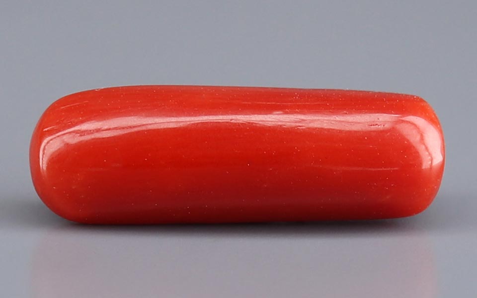 Red Coral - 6.38 Carat (7.05 Ratti - Moonga)