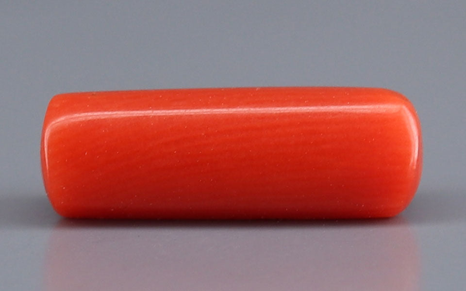 Red Coral - 3.64 Carat (4.02 Ratti - Moonga)