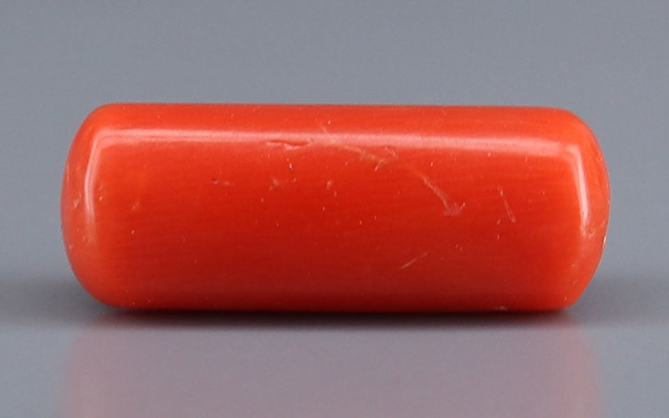 Red Coral - 6.72 Carat (7.43 Ratti - Moonga)