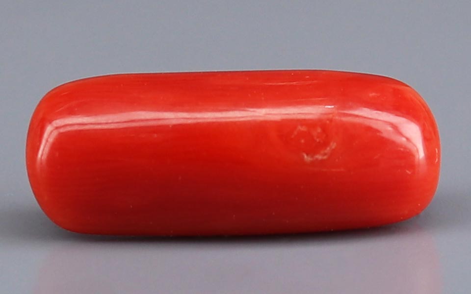 Red Coral - 5.84 Carat (6.45 Ratti - Moonga)