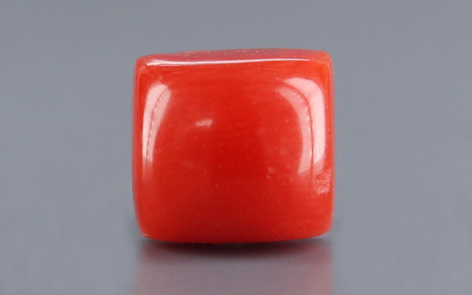 Red Coral - 3.64 Carat (4.02 Ratti - Moonga)