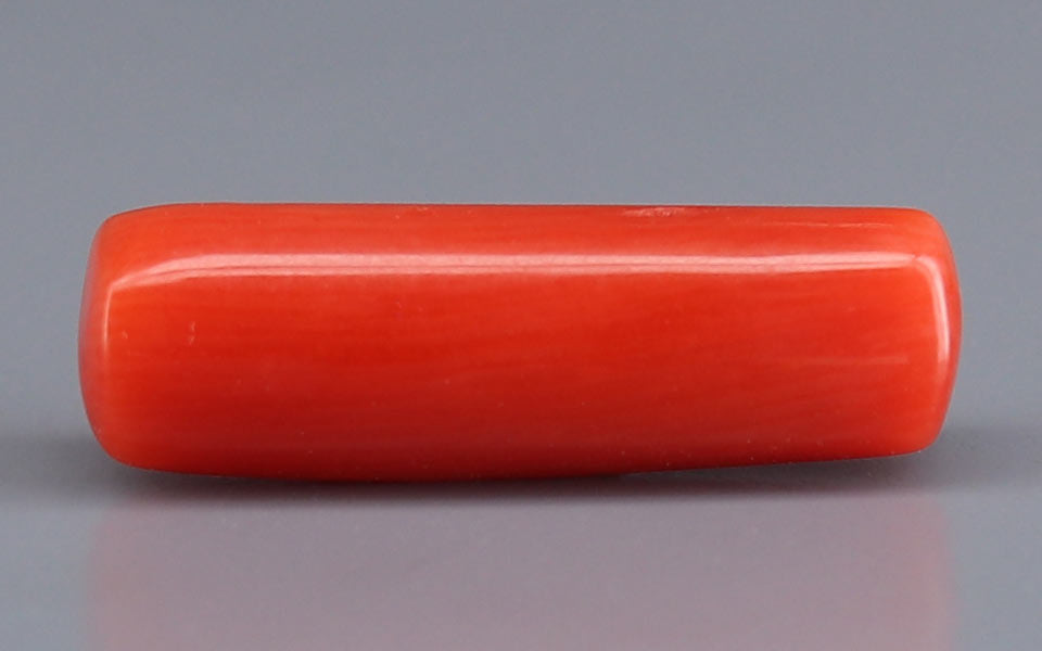 Red Coral - 6.19 Carat (6.84 Ratti - Moonga)