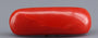 Red Coral - 5.48 Carat (6.06 Ratti - Moonga)