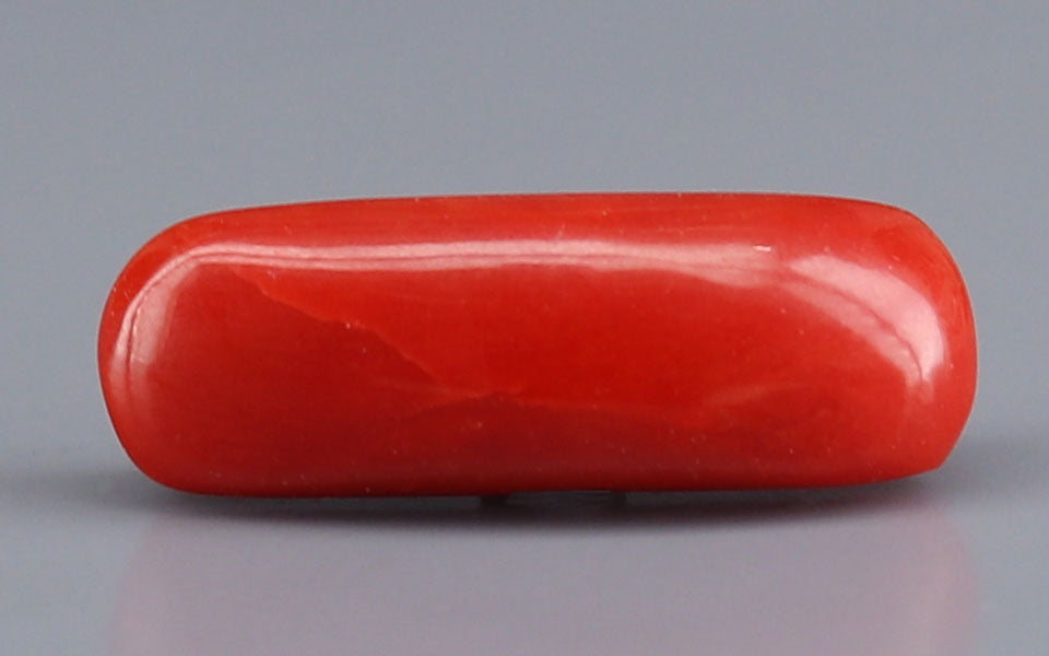 Red Coral - 5.48 Carat (6.06 Ratti - Moonga)