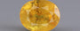 Yellow Sapphire - 3.47 Carat