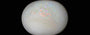 White Opal - 6.26 Carat
