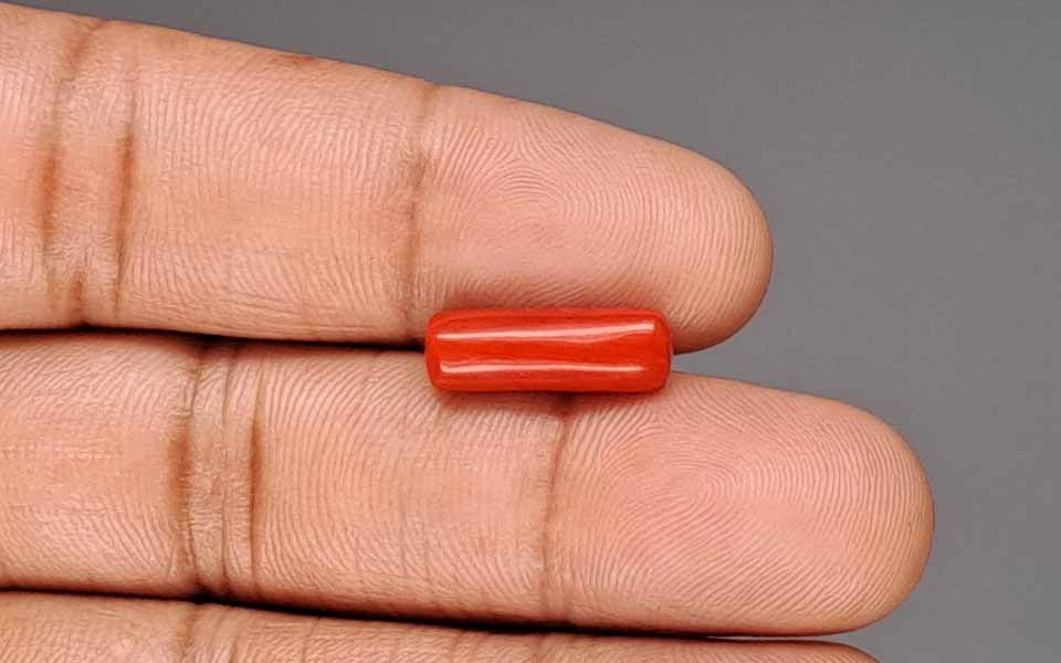 Red Coral - 4.38 Carat (4.84 Ratti - Moonga)