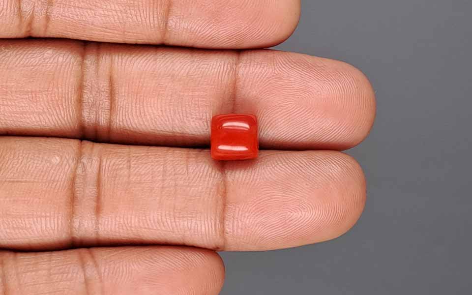 Red Coral - 3.64 Carat (4.02 Ratti - Moonga)