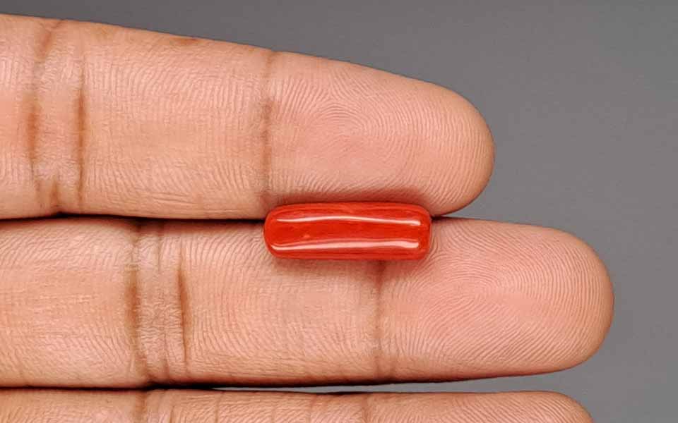 Red Coral - 5.23 Carat (5.78 Ratti - Moonga)