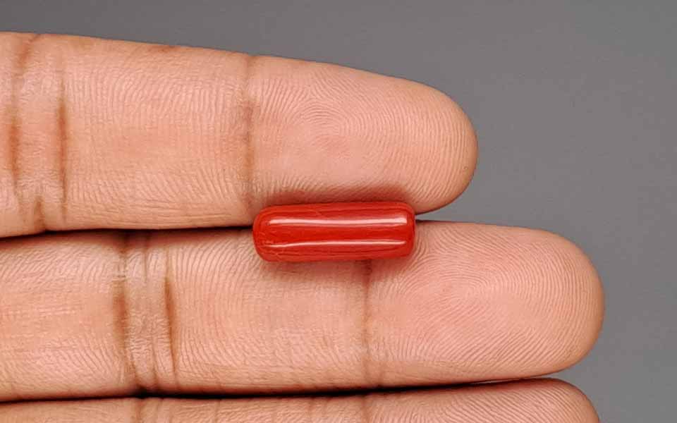 Red Coral - 5.80 Carat (6.41 Ratti - Moonga)