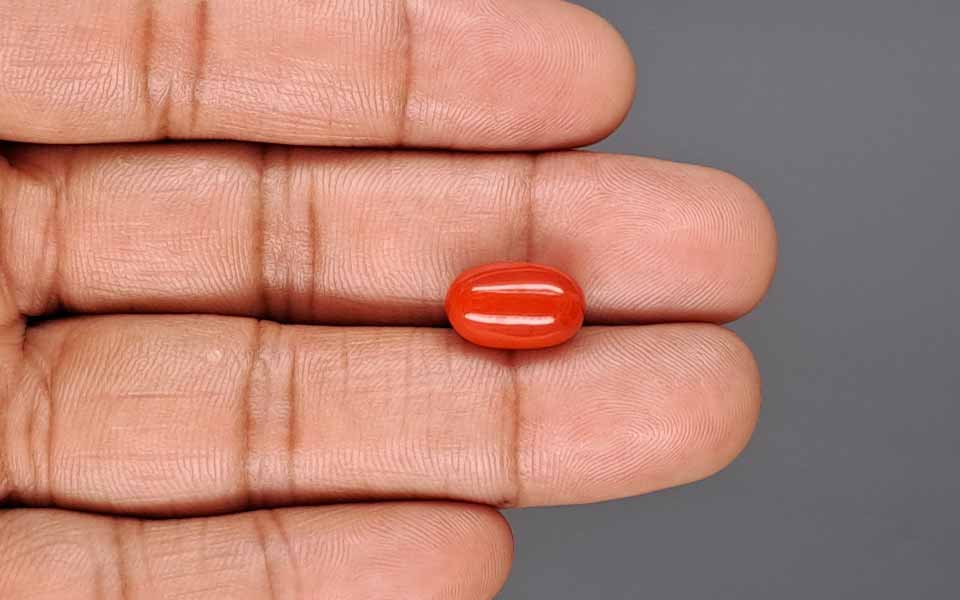 Red Coral - 5.41 Carat (5.98 Ratti - Moonga)