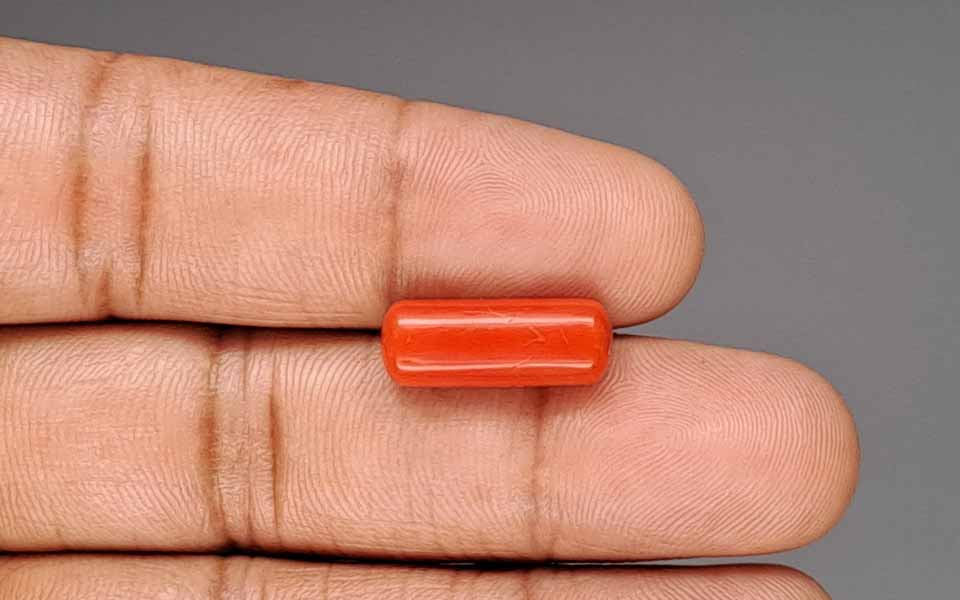 Red Coral - 6.72 Carat (7.43 Ratti - Moonga)