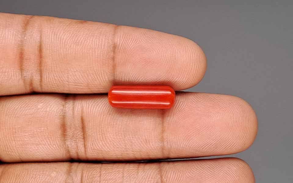 Red Coral - 5.06 Carat (5.59 Ratti - Moonga)