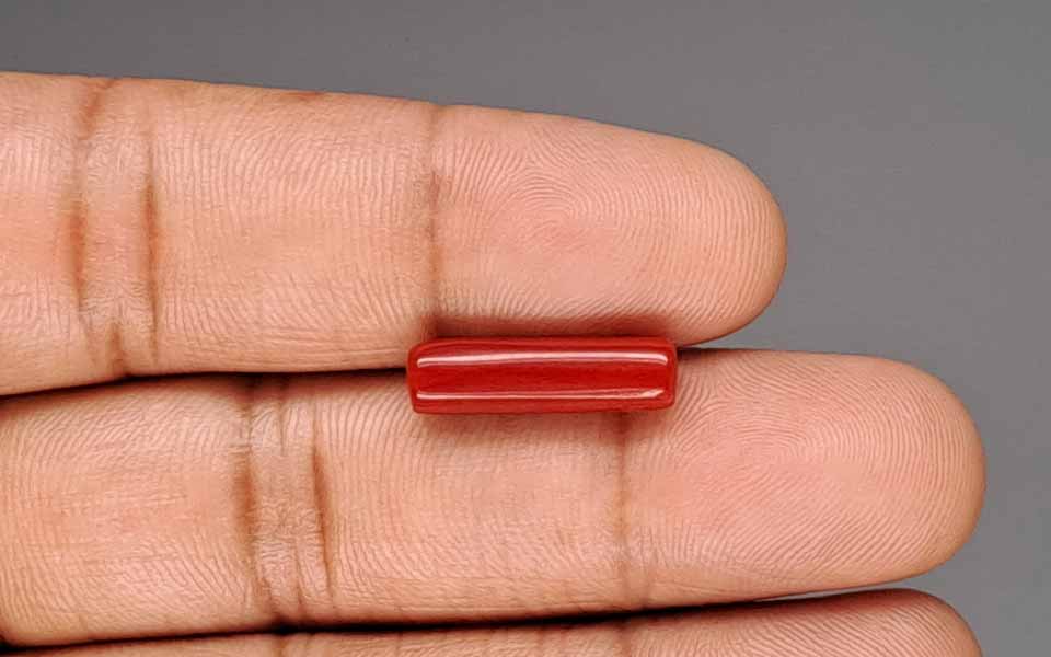 Red Coral - 5.09 Carat (5.62 Ratti - Moonga)