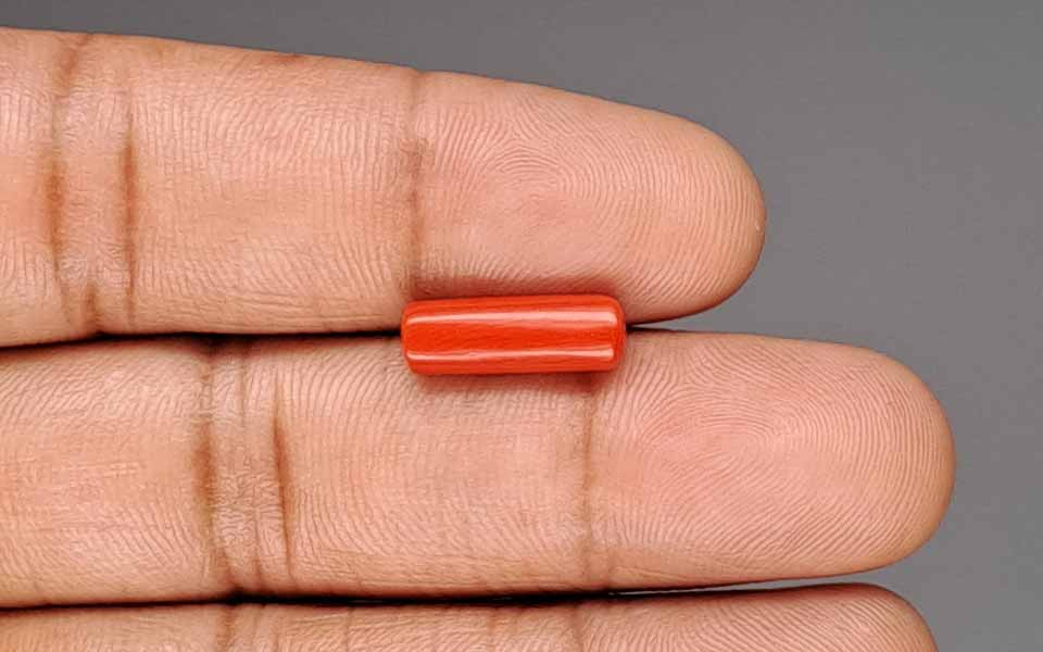 Red Coral - 3.64 Carat (4.02 Ratti - Moonga)