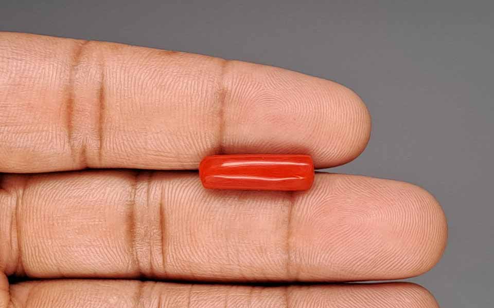 Red Coral - 5.31 Carat (5.87 Ratti - Moonga)