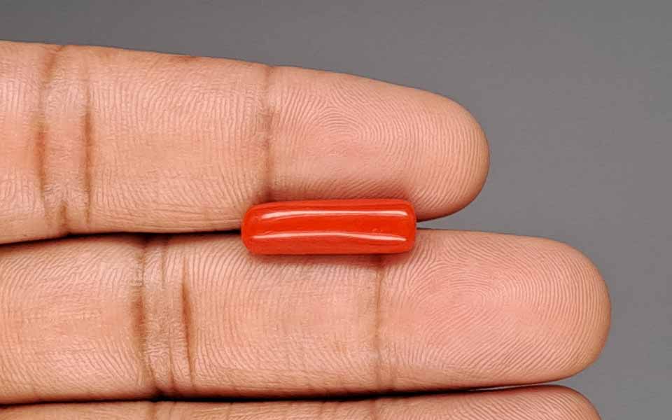Red Coral - 5.51 Carat (6.09 Ratti - Moonga)