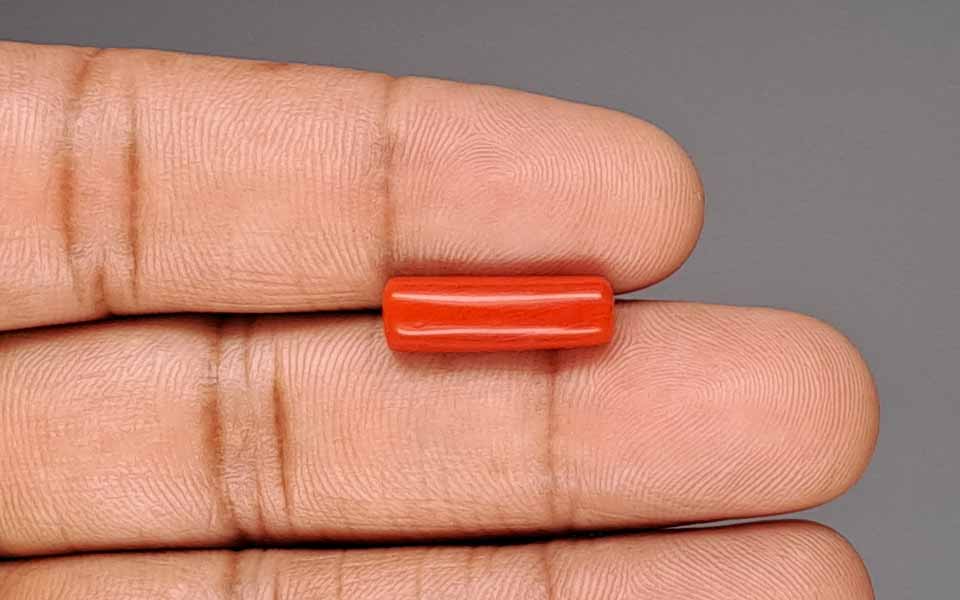 Red Coral - 4.72 Carat (5.22 Ratti - Moonga)
