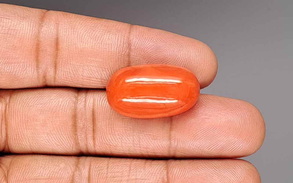 Red Coral - 26.38 Carat (29.15 Ratti - Moonga)