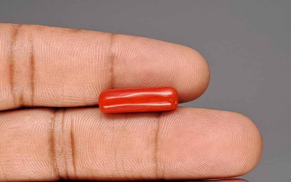 Red Coral - 6.05 Carat (6.69 Ratti - Moonga)
