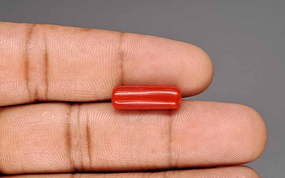 Red Coral - 6.12 Carat (6.76 Ratti - Moonga)