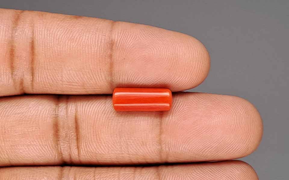 Red Coral - 3.43 Carat (3.79 Ratti - Moonga)