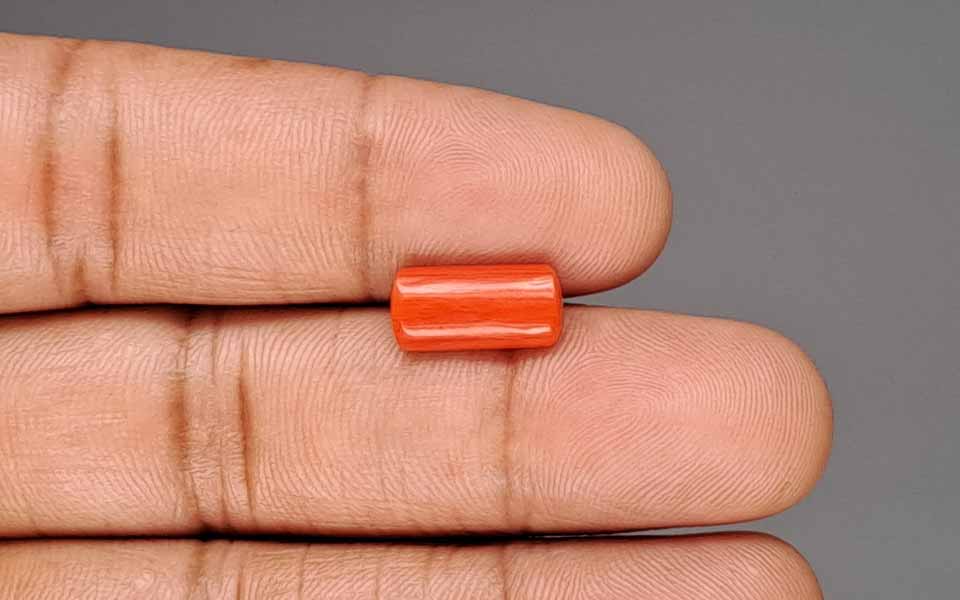 Red Coral - 3.17 Carat (3.50 Ratti - Moonga)