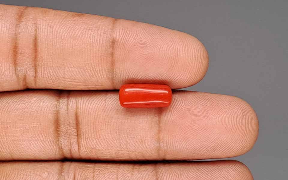 Red Coral - 3.51 Carat (3.88 Ratti - Moonga)