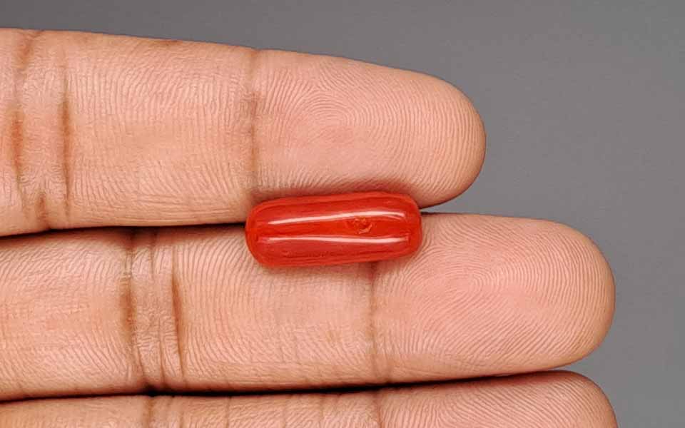 Red Coral - 5.84 Carat (6.45 Ratti - Moonga)