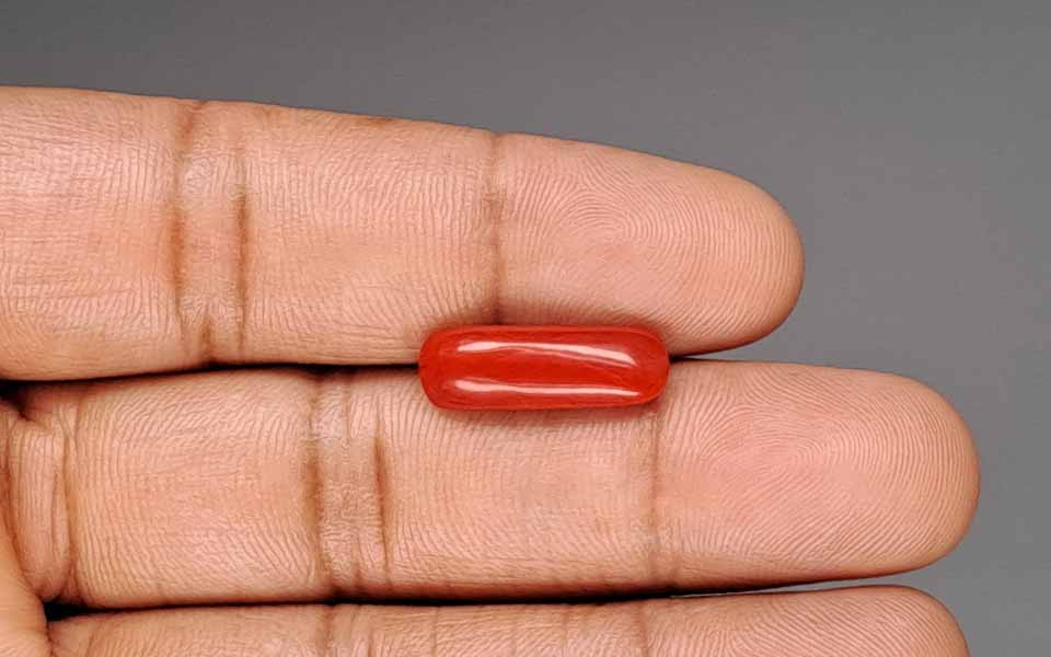 Red Coral - 5.48 Carat (6.06 Ratti - Moonga)