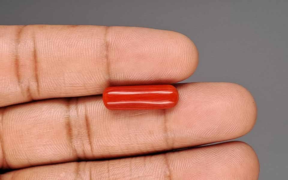 Red Coral - 6.38 Carat (7.05 Ratti - Moonga)