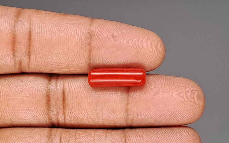 Red Coral - 5.67 Carat (6.27 Ratti - Moonga)