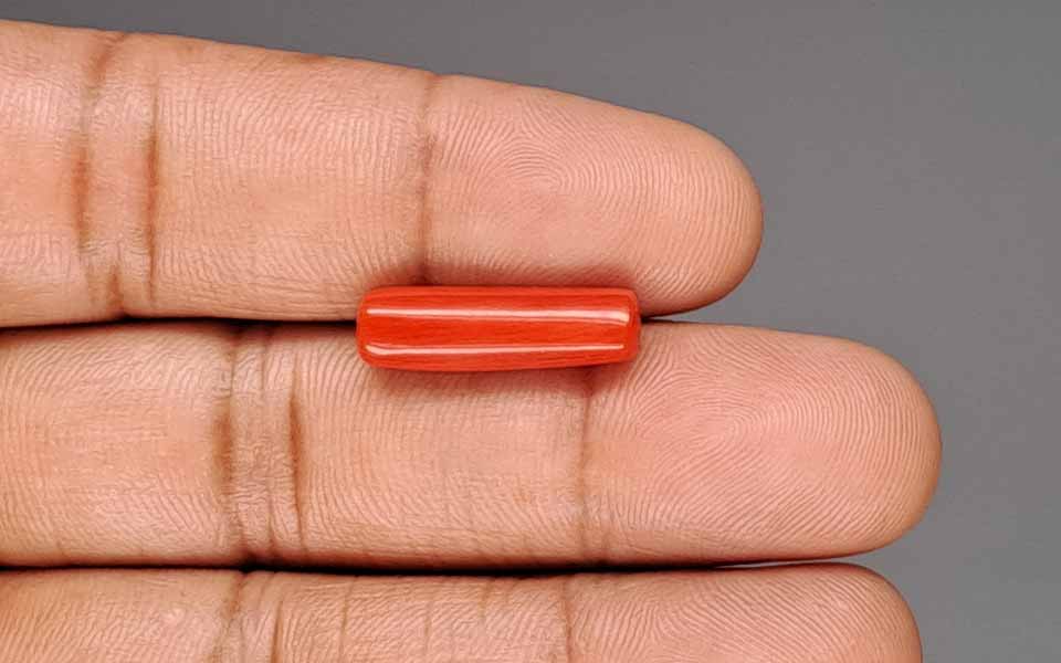 Red Coral - 6.19 Carat (6.84 Ratti - Moonga)