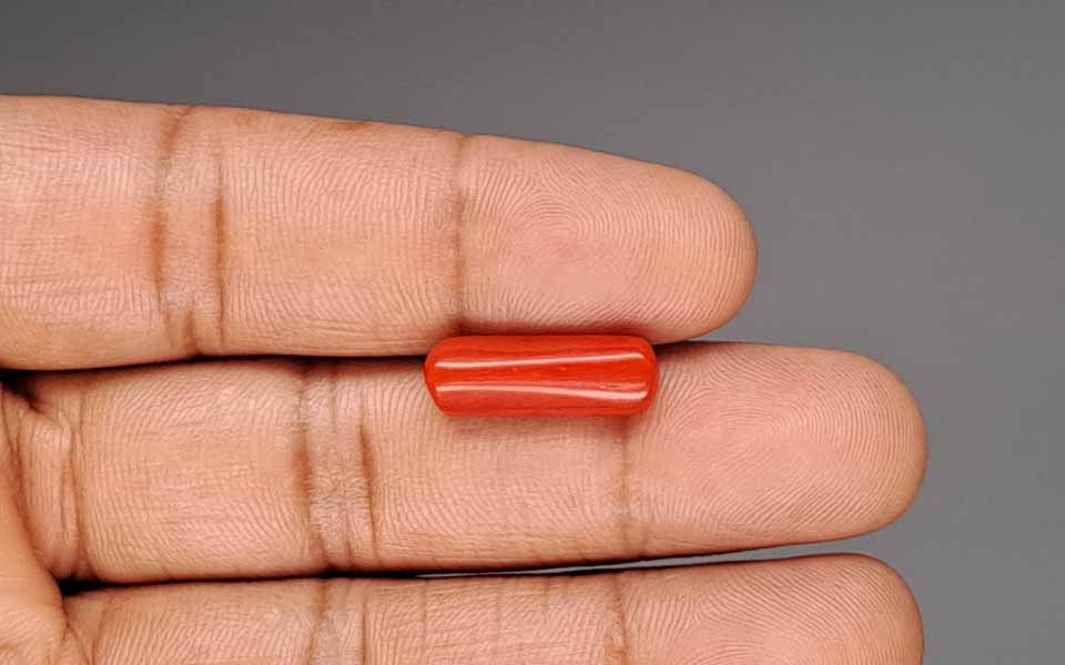 Red Coral - 5.72 Carat (6.32 Ratti - Moonga)