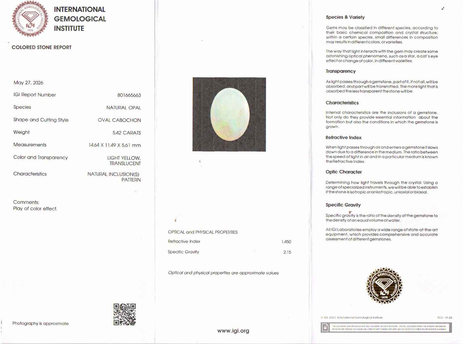 White Opal With Fire - 5.42 Carat