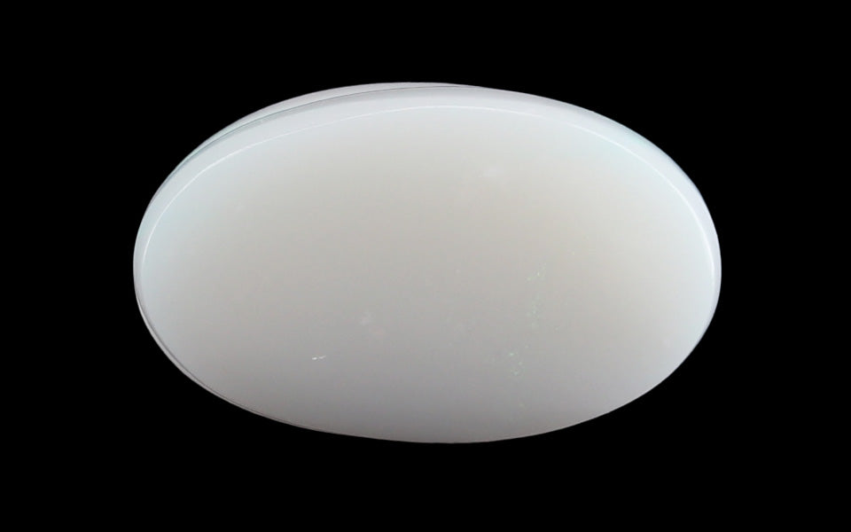 White Opal - 5.86 Carat