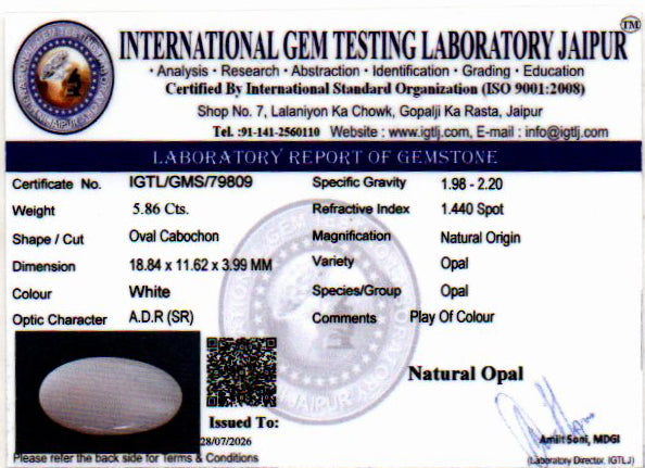 White Opal - 5.86 Carat