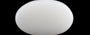 White Opal - 4.74 Carat