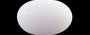 White Opal - 4.20 Carat