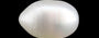 Pearl - 3.12 Carat