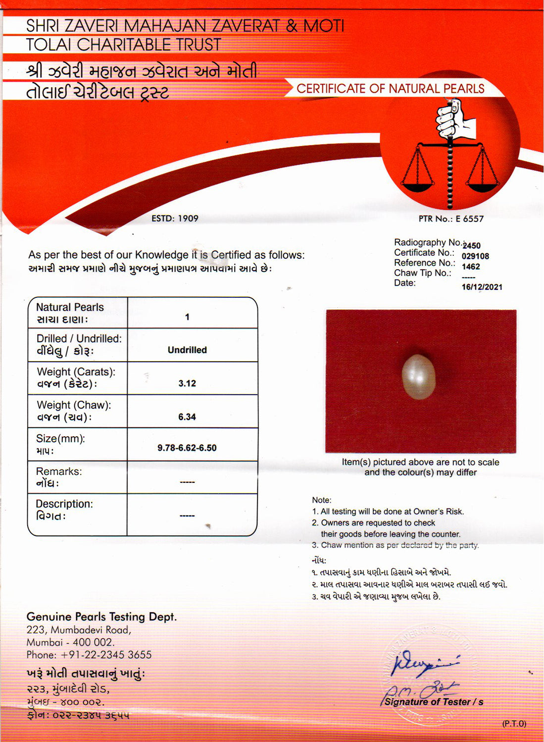 Pearl - 3.12 Carat
