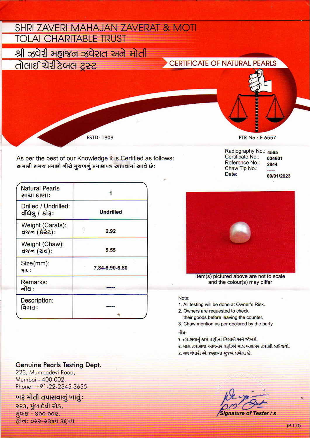 Pearl - 2.92 Carat