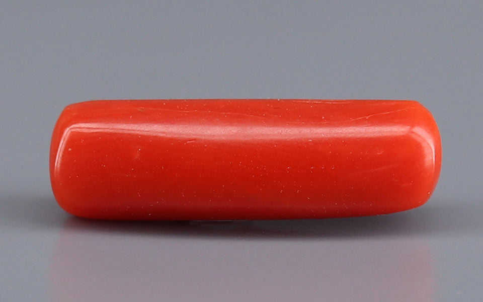 Red Coral - 5.51 Carat (6.09 Ratti - Moonga)