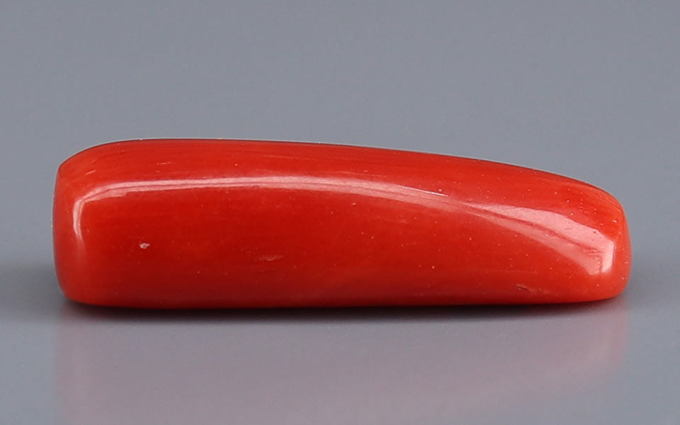 Red Coral - 6.38 Carat (7.05 Ratti - Moonga)