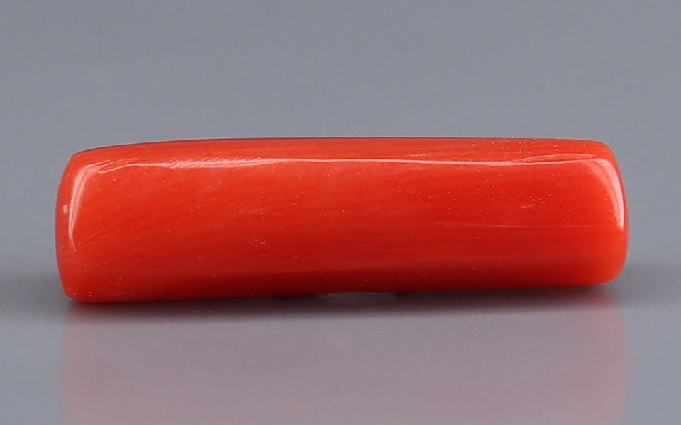 Red Coral - 6.19 Carat (6.84 Ratti - Moonga)
