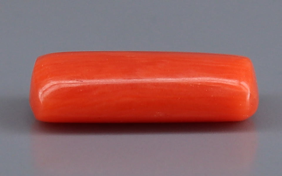 Red Coral - 3.17 Carat (3.50 Ratti - Moonga)