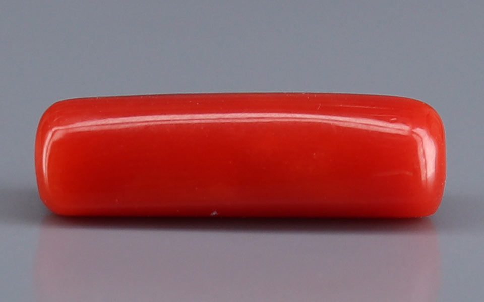 Red Coral - 5.67 Carat (6.27 Ratti - Moonga)