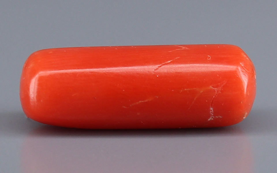 Red Coral - 6.72 Carat (7.43 Ratti - Moonga)